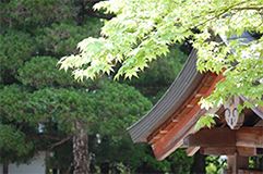 長安寺の様子