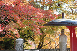 長安寺の様子